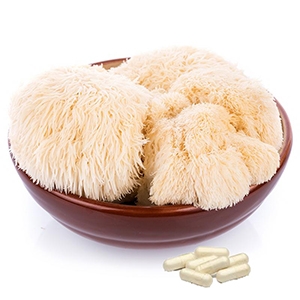 LION'S MANE Mushroom Capsules - 90 x 500mg