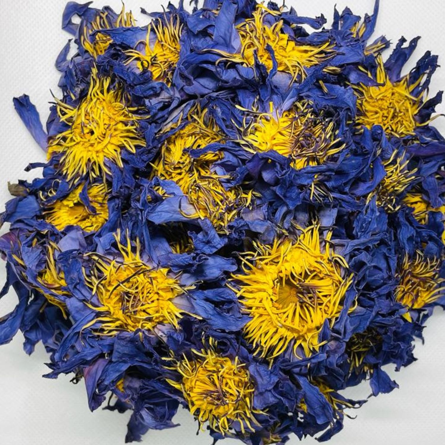 Whole Blue Lotus Flowers (pesticide free)