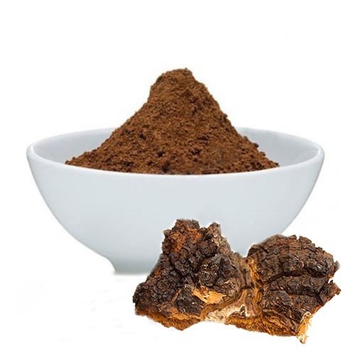 CHAGA Mushroom (Inonotus obliquus) Powder