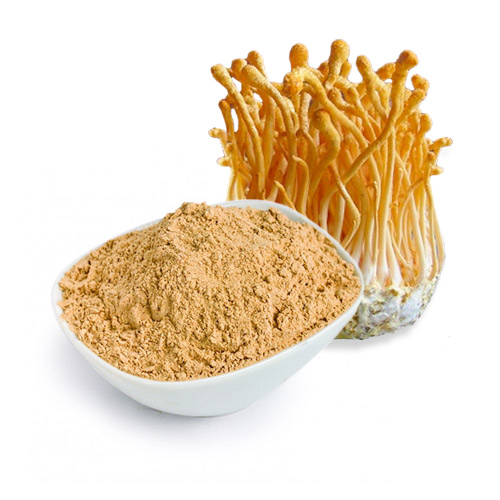 CORDYCEPS Mushroom Powder (Superfood)