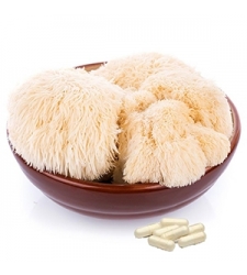 LION'S MANE Mushroom Capsules - 90 x 500mg