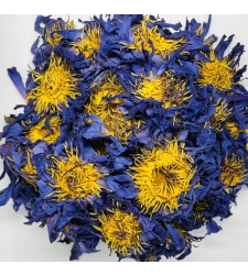 Whole Blue Lotus Flowers (pesticide free)