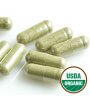 SUPERFOOD Organic Green Powder Capsules (100-ct.)