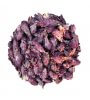 INDIAN WARRIOR Buds 