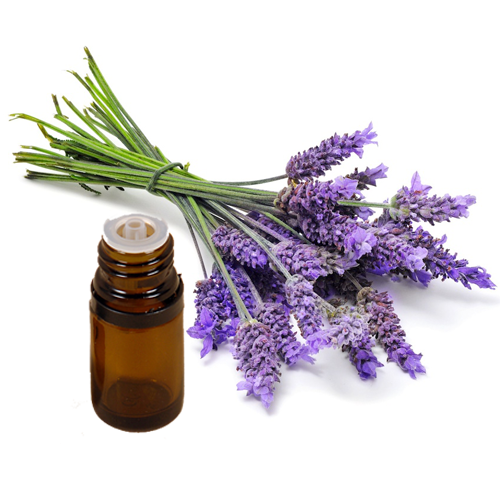 LAVENDER Pure Essential Oil 0.25 fl oz