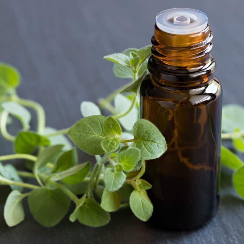 OREGANO Organic Essential Oil .5oz