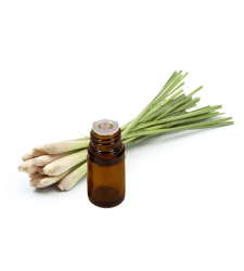 LEMONGRASS Essential Oil .5 oz