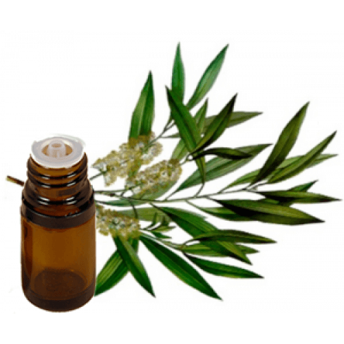 TEA TREE Essential Oil .5 oz