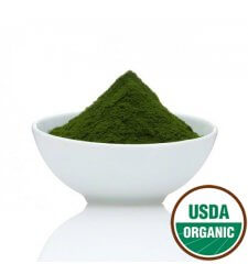 WHEATGRASS JUICE Organic Powder 4oz (112g)