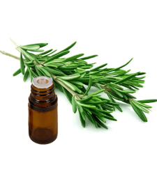 ROSEMARY CINEOLE Type Essential Oil .5 oz