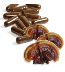 RED REISHI Mushroom Capsules - Superfood - 90 x 500mg