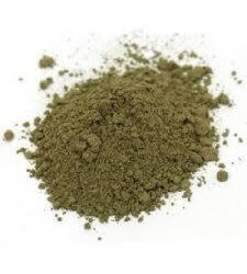 CATNIP 4:1 Extract Powder 1 oz (28g)