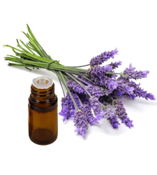 LAVENDER Pure Essential Oil 0.25 fl oz