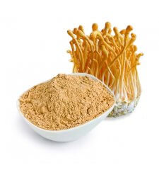 CORDYCEPS Mushroom Powder (Superfood)