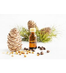 CEDARWOOD Essential Oil .5 oz