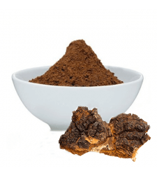 CHAGA Mushroom (Inonotus obliquus) Powder