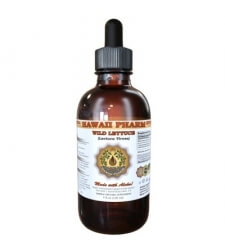 WILD LETTUCE Organic Liquid Extract (2oz)