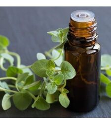 OREGANO Organic Essential Oil .5oz