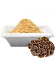 CORIOLUS Mushroom "Turkey Tail" (Trametes versicolor) Powder