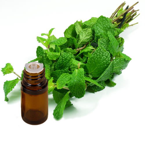 PEPPERMINT Natural Yakima Essential Oil .5 oz