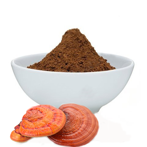 RED REISHI (Ganoderma lucidum) Mushroom Powder