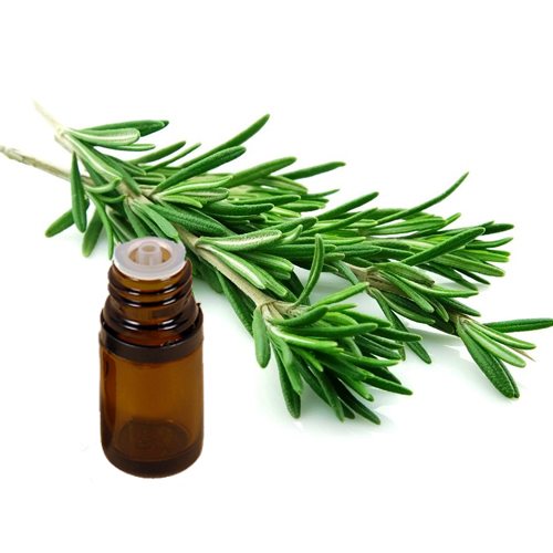 ROSEMARY CINEOLE Type Essential Oil .5 oz