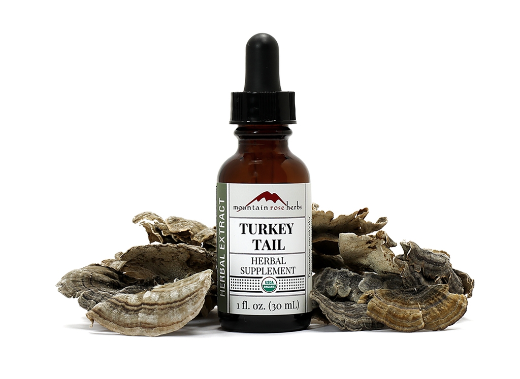 TURKEY TAIL MUSHROOM Liquid Herbal Extract (1 oz)