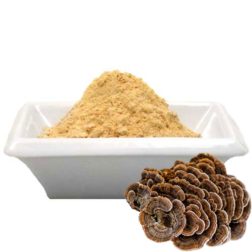 CORIOLUS Mushroom "Turkey Tail" (Trametes versicolor) Powder