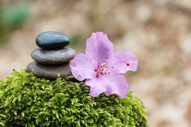 Balanced stones and bloom